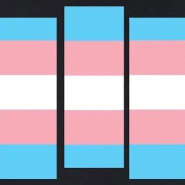 TranSanctuary — Peer support for trans and gender-diverse people