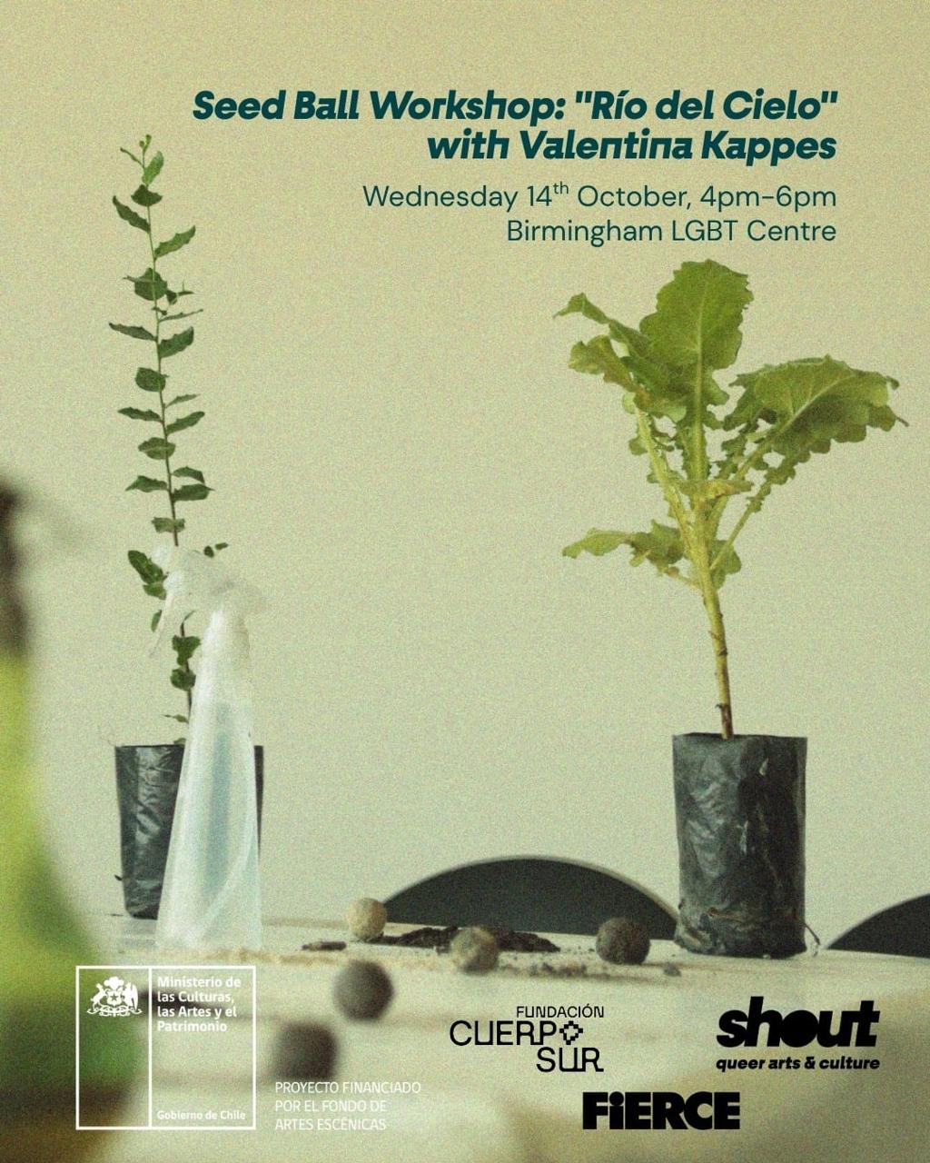 Seed Ball Workshop: Río del Cielo with Valentina Kappes poster