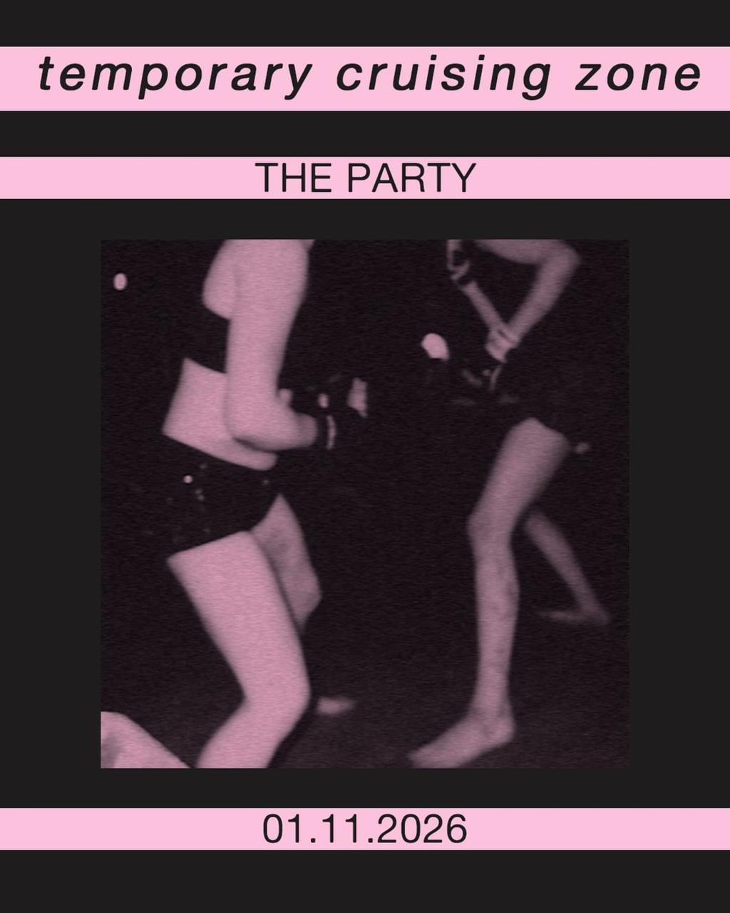 Temporary Cruising Zone: The Party poster