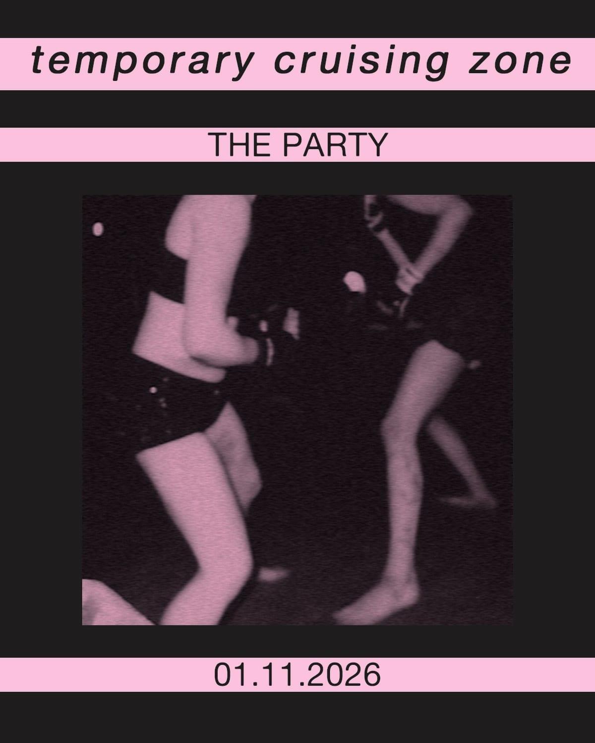 Temporary Cruising Zone: The Party poster