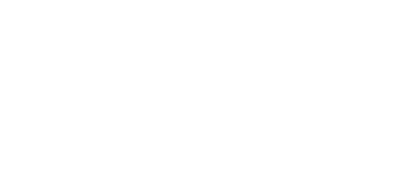 The Village Inn